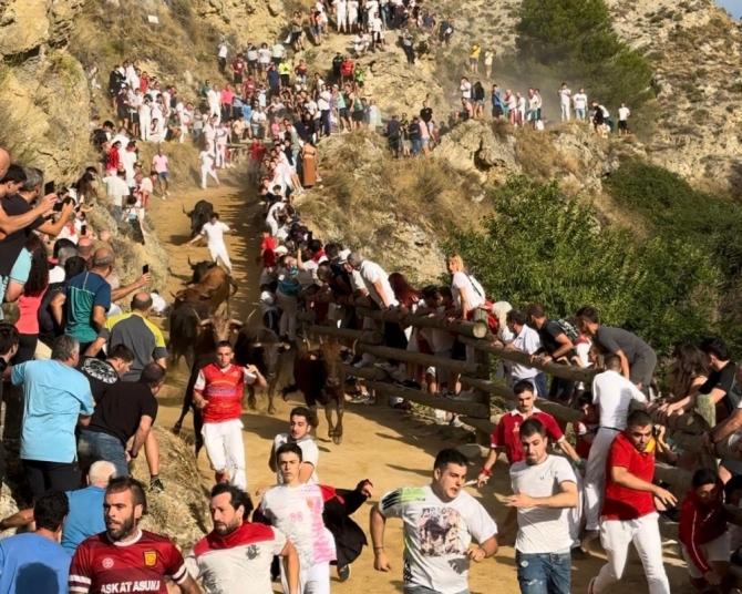 'Emocionante, bravo y precioso último Pilón de Falces protagonizado por las reses de Teodoro Vergara'