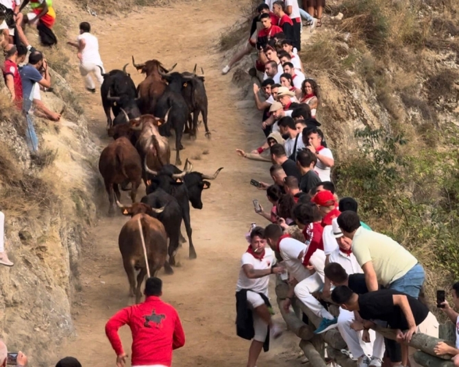 'Emocionante, bravo y precioso último Pilón de Falces protagonizado por las reses de Teodoro Vergara'