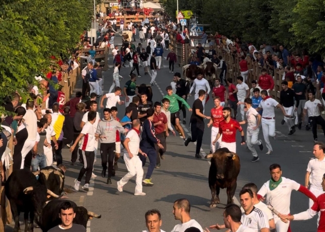 'La bravura de Galache y Toropasión exige mucho a los mozos en el último encierro de Tafalla'