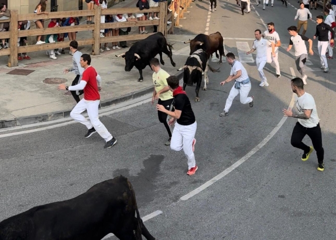 'La bravura de Galache y Toropasión exige mucho a los mozos en el último encierro de Tafalla'