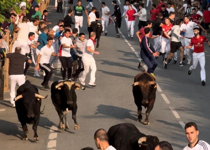 'La bravura de Galache y Toropasión exige mucho a los mozos en el último encierro de Tafalla'
