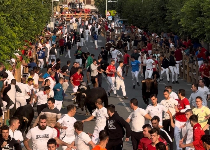 'La bravura de Galache y Toropasión exige mucho a los mozos en el último encierro de Tafalla'
