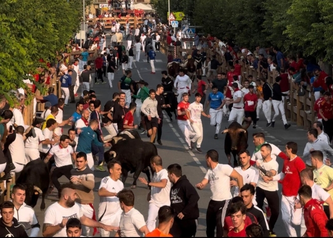 'La bravura de Galache y Toropasión exige mucho a los mozos en el último encierro de Tafalla'
