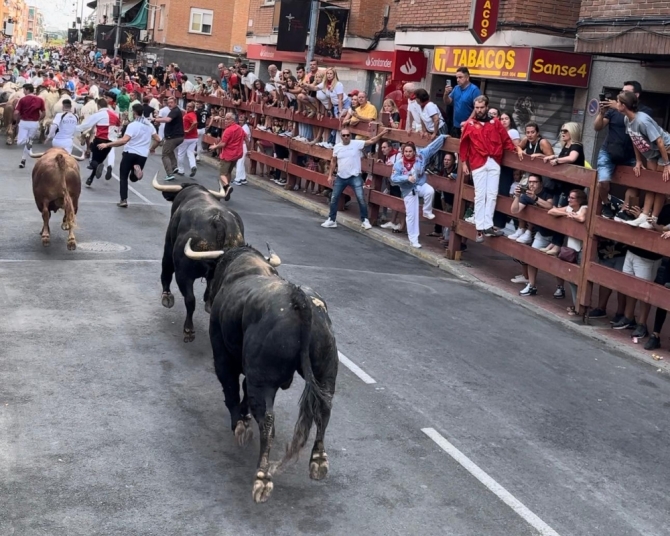 'Primer herido por asta en un vibrante primer encierro en San Sebastián de los Reyes'