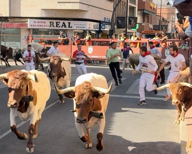 'Un toro de Voltalegre se vuelve y no completa el tercer encierro de Sanse'