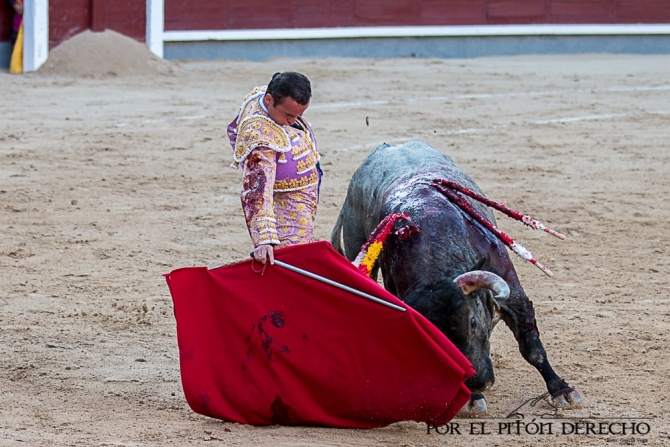 Damián Castaño roza el cielo de Madrid 