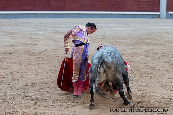 Damián Castaño roza el cielo de Madrid 