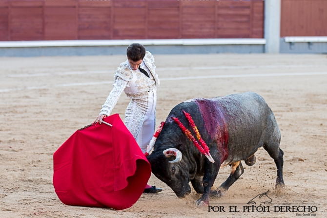 Damián Castaño roza el cielo de Madrid 