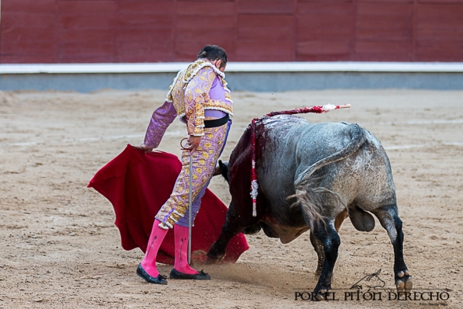 Damián Castaño roza el cielo de Madrid 