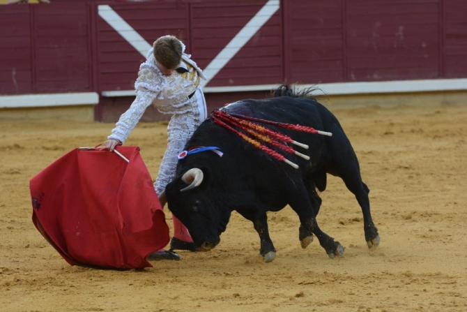 Triunfo rotundo de Borja Jiménez en Almodovar del Campo 