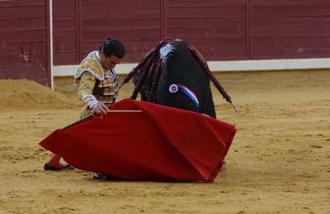 Triunfo rotundo de Borja Jiménez en Almodovar del Campo 