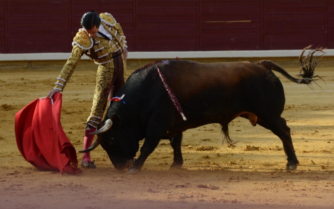 Triunfo rotundo de Borja Jiménez en Almodovar del Campo 