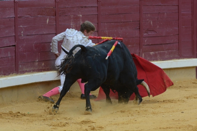 Triunfo rotundo de Borja Jiménez en Almodovar del Campo 