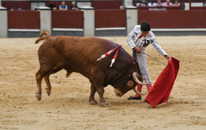 'Limpia de corrales en Las Ventas como antesala de Otoño'
