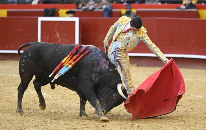 La progresión y gusto de El Mene ilusionan en Valencia