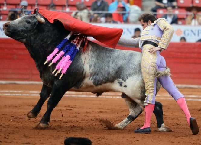 ¿Matadores?