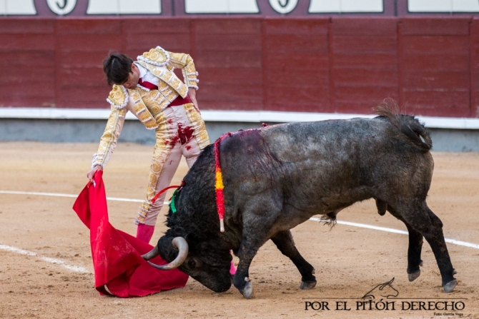 'Damián Castaño paga su verdad con sangre el día que 'Gallito' volvió a reinar en su plaza'