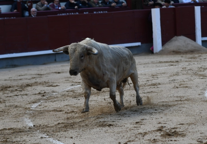 'Andrades se la juega y puntúa en Madrid'