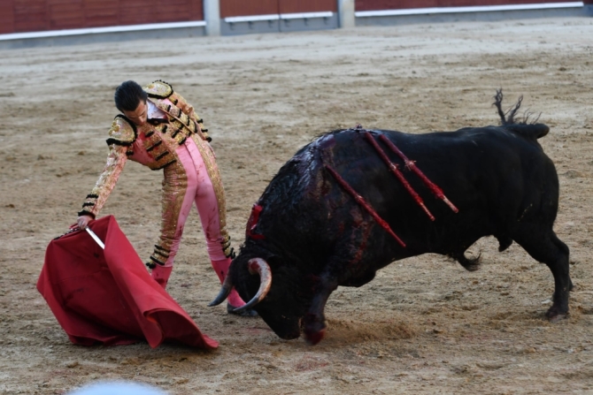 'Andrades se la juega y puntúa en Madrid'