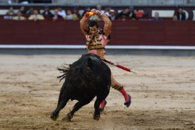 'Andrades se la juega y puntúa en Madrid'