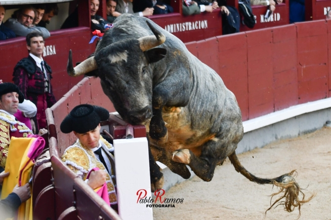 Decepción de Santa Coloma en Domingo de Ramos
