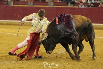 'Zulueta y 'Puchero' maquillan in extremis la tercera de San Jorge'