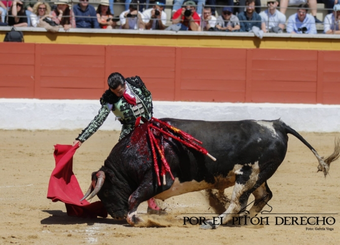 La novillada de Barcial y Alicia Chico, en imágenes 