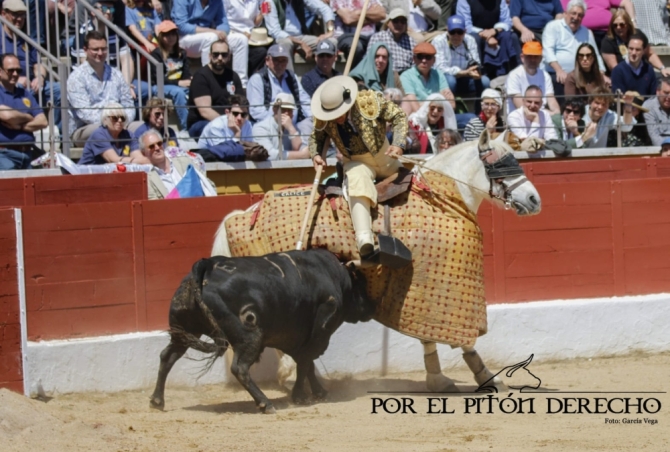 La novillada de Barcial y Alicia Chico, en imágenes 