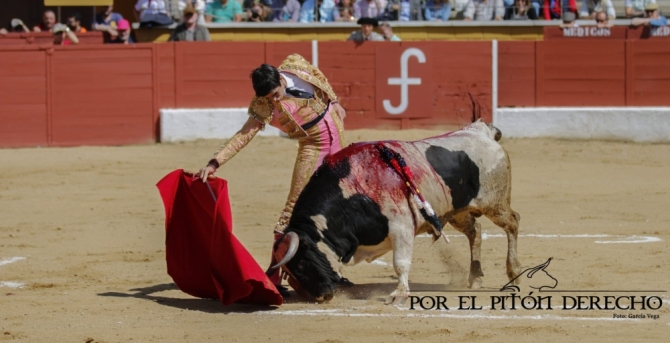 La novillada de Barcial y Alicia Chico, en imágenes 