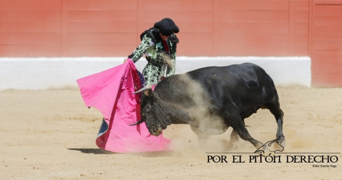 La novillada de Barcial y Alicia Chico, en imágenes 