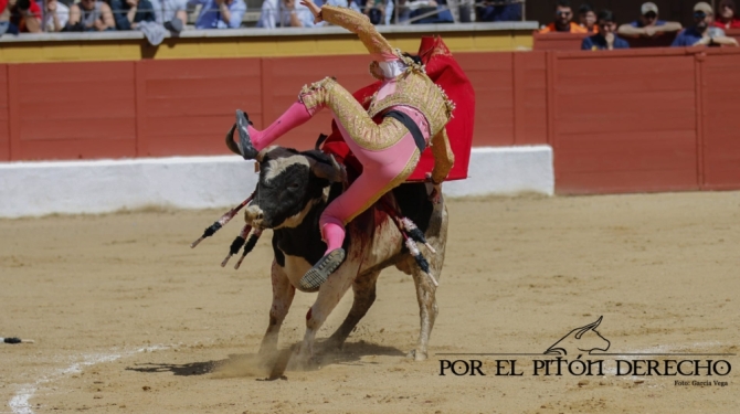 La novillada de Barcial y Alicia Chico, en imágenes 