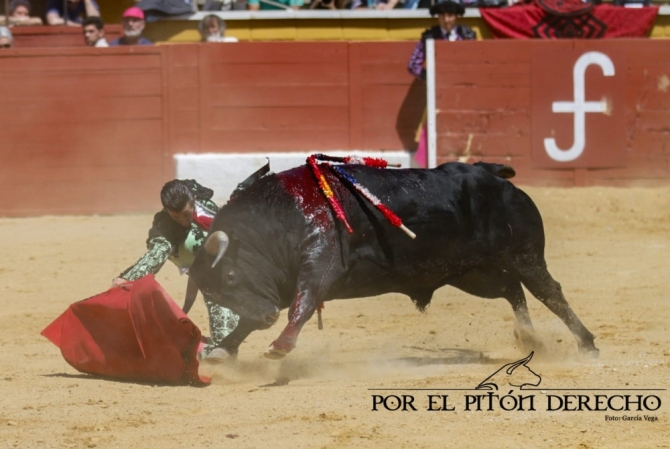 La novillada de Barcial y Alicia Chico, en imágenes 