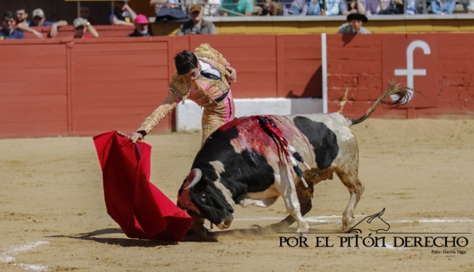 La novillada de Barcial y Alicia Chico, en imágenes 