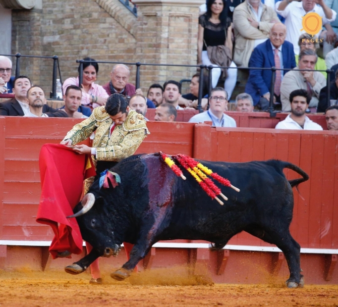 '¡A mí también me atormenta enloquecer cuando veo a Morante!'