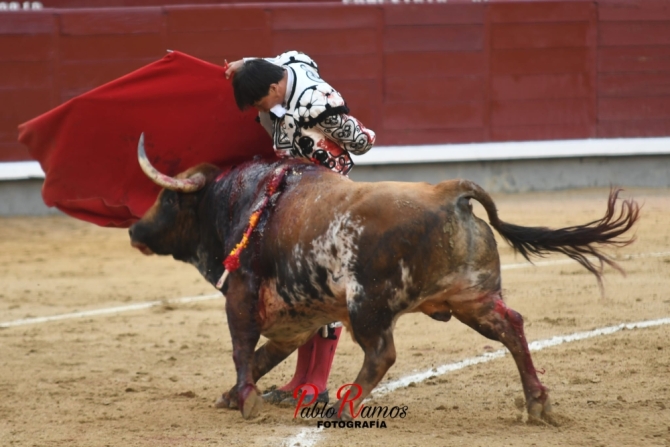 La tarde de la Goyesca del 2 de mayo, en imágenes 
