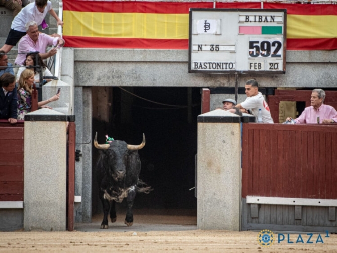 'La cabaña brava de San Isidro 2025: ¿la de la escasez de toros?'
