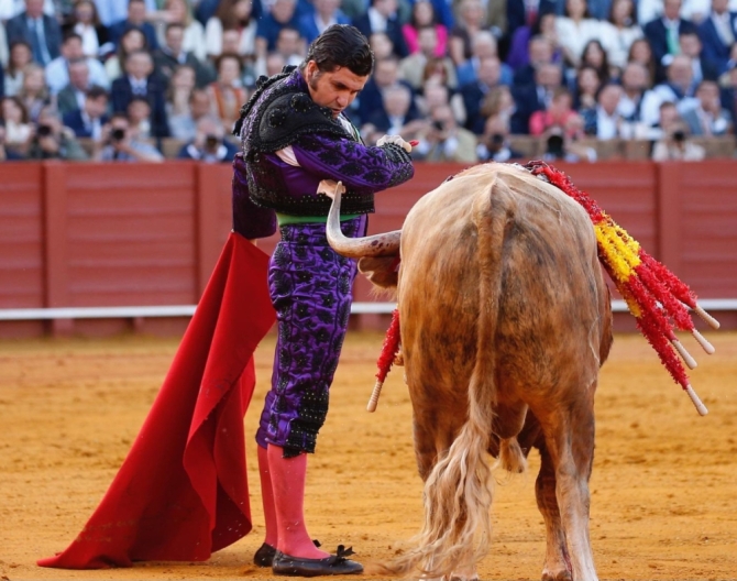 Tauroemoción apuesta por Morante para levantar la plaza de Ávila 