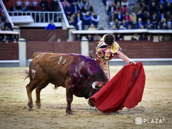 'Y Madrid se calló para ver torear de verdad'