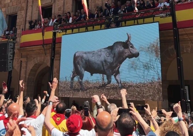 Benavente: pasión, tradición y toro enmaromado