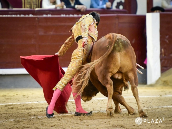 Aarón Palacio aviva la esperanza en la novillada de saldos de Alcurrucén