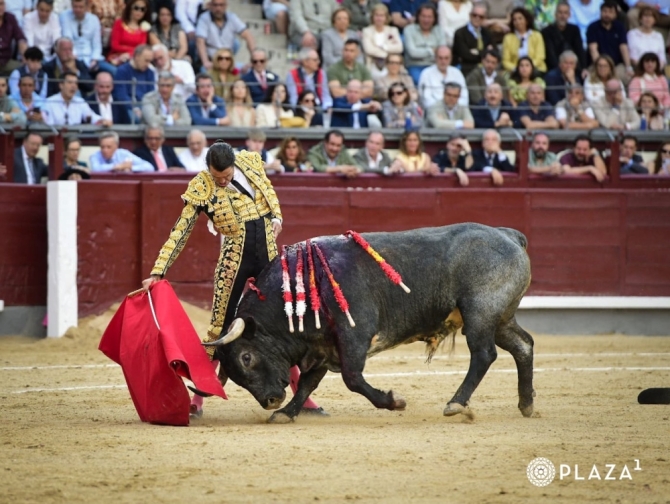 El metrónomo de la torería madrileña 
