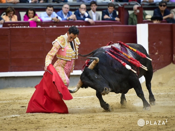 Fortes levanta un altar al verbo torear