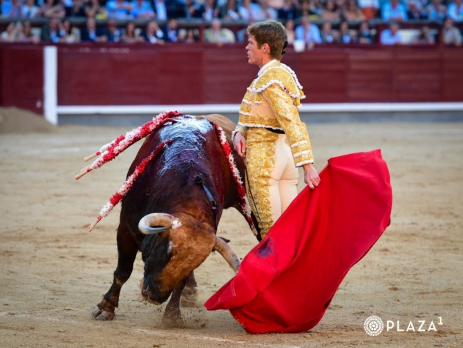 'Los Borjas entre otro briconsejo de Matilla'