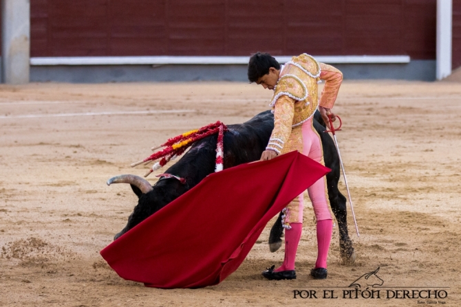 Montaldo pone el toreo y Bastos, las ganas
