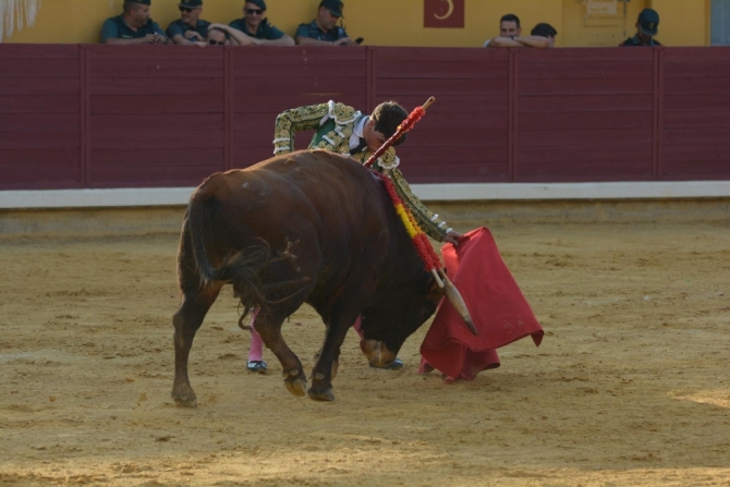 Puerta grande para Adrián Reinosa en Almodóvar del Campo 