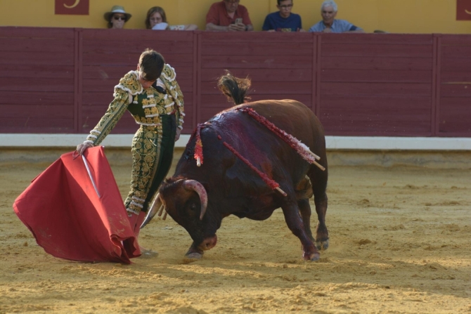 Puerta grande para Adrián Reinosa en Almodóvar del Campo 