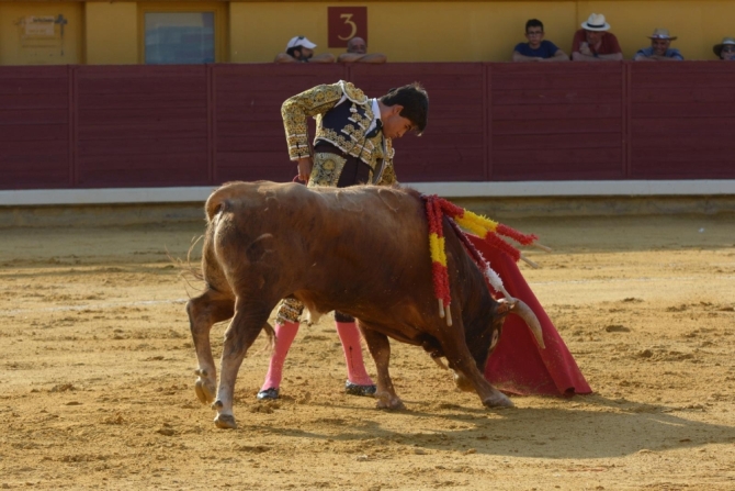 Puerta grande para Adrián Reinosa en Almodóvar del Campo 