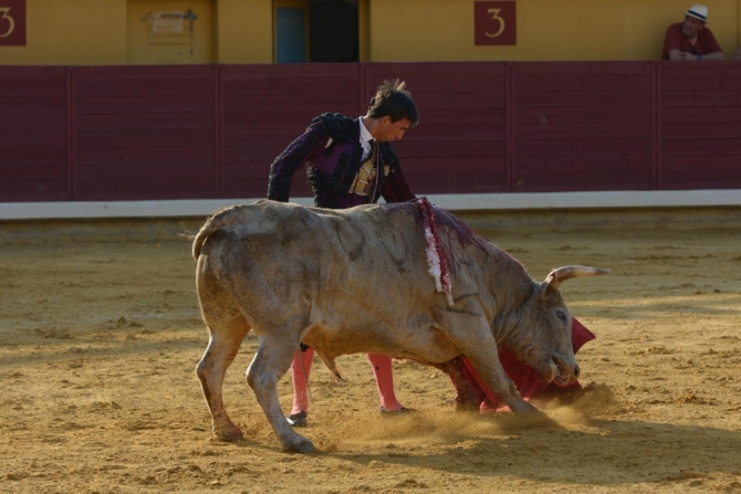 Puerta grande para Adrián Reinosa en Almodóvar del Campo 
