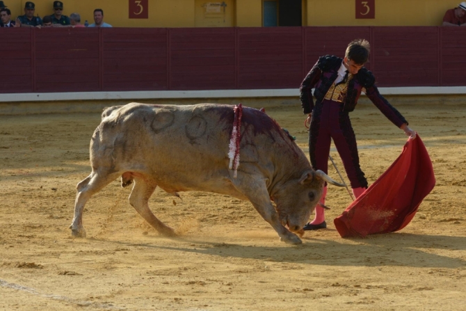Puerta grande para Adrián Reinosa en Almodóvar del Campo 