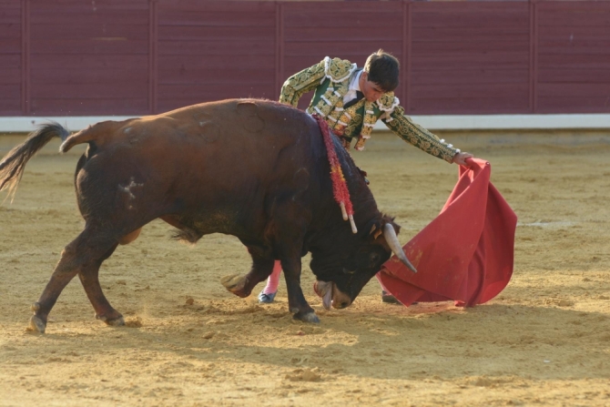 Puerta grande para Adrián Reinosa en Almodóvar del Campo 
